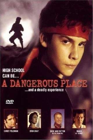 Un gioco molto pericoloso (1995) streaming