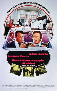 Una strana coppia di sbirri (1974) streaming
