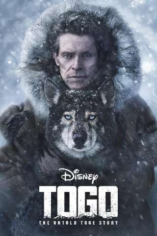 Togo: Una grande amicizia (2019) streaming