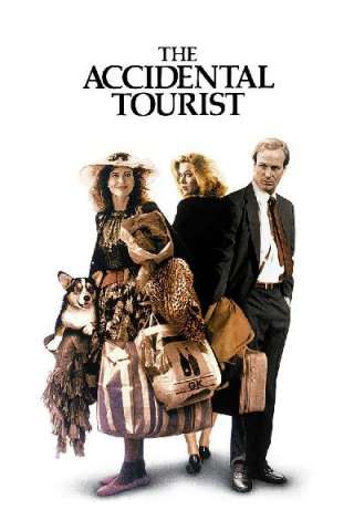 Turista per caso (1988) streaming