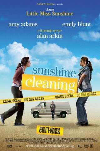Sunshine Cleaning - Non ce sporco che tenga (2008) streaming