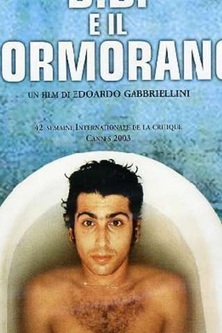 B.B. e il cormorano (2003) streaming
