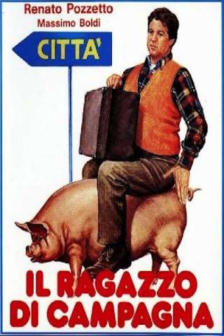 Il ragazzo di campagna (1984) (1984) streaming