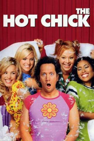 Hot Chick - Una bionda esplosiva (2002) streaming