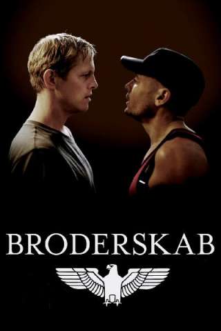 Brotherhood - Fratellanza (2009) streaming
