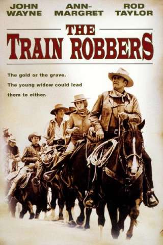 Quel maledetto colpo al Rio Grande Express (1973) streaming