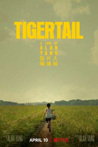 Tigertail (2020) streaming