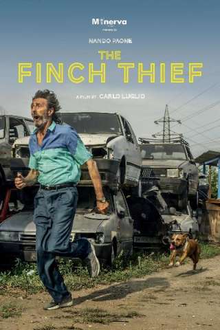 Il Ladro di Cardellini (2019) streaming