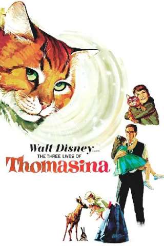 Le tre vite della gatta Tommasina (1963) streaming