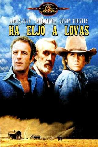 Arriva un cavaliere libero e selvaggio (1978) streaming