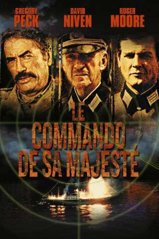 L'oca selvaggia colpisce ancora (1980) streaming