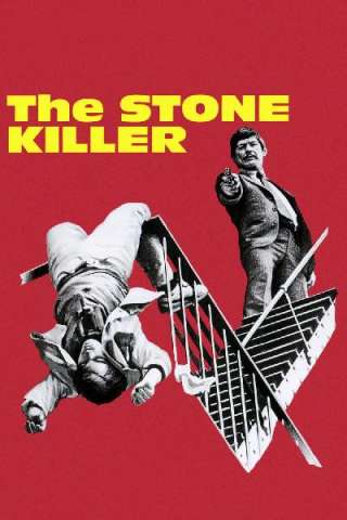L'assassino di pietra (1973) streaming