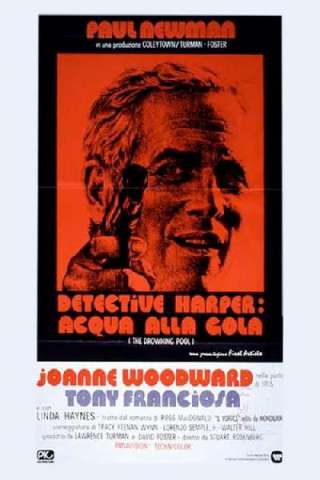Detective Harper: acqua alla gola (1975) streaming