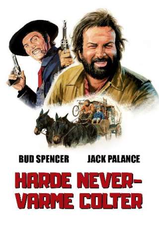 Si può fare… amigo (1972) streaming