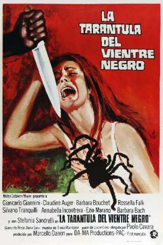 La tarantola dal ventre nero (1971) streaming