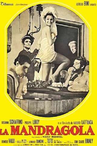 La mandragola (1965) streaming