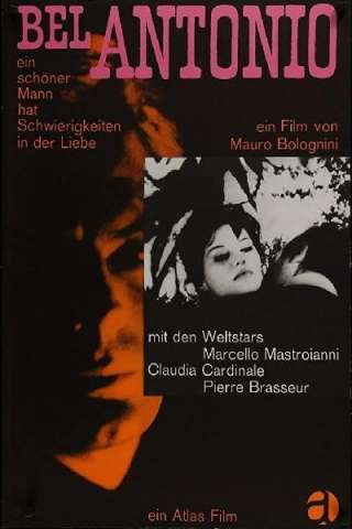 Il bell'Antonio (1960) streaming
