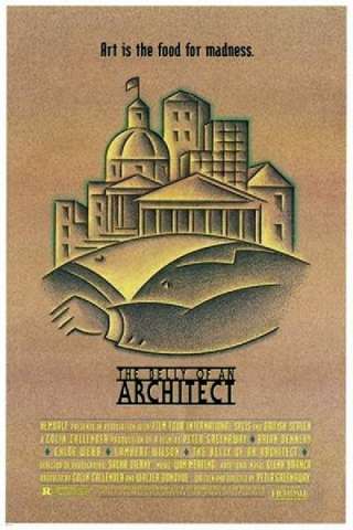 Il ventre dell'architetto (1987) streaming