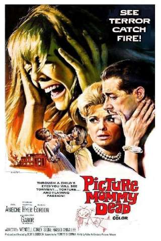 La bambola di pezza (1966) streaming