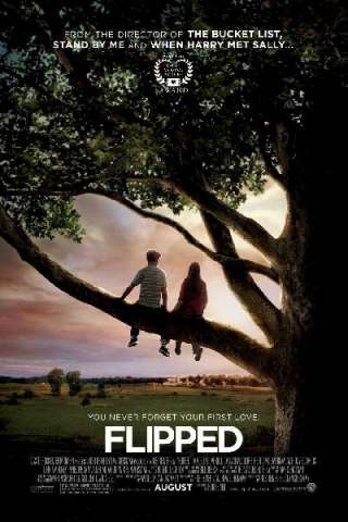 Il primo amore non si scorda mai (2010) streaming