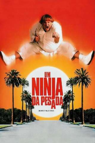 Mai dire ninja (1997) streaming