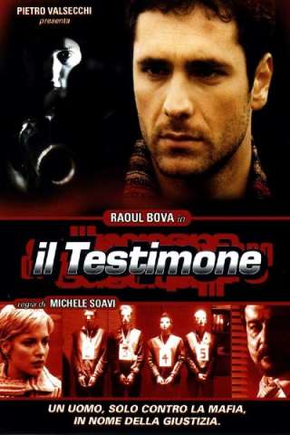 Il testimone (2001) streaming