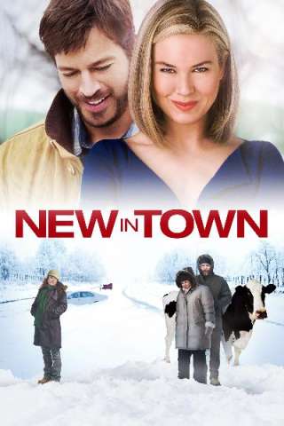 New in Town - Una single in carriera (2009) streaming
