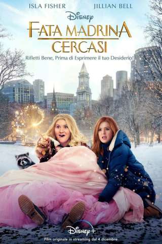 Fata madrina cercasi (2020) streaming