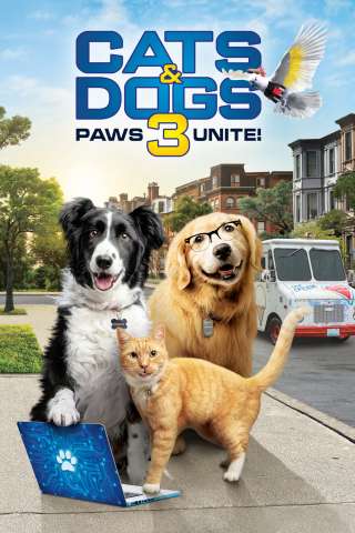 Cani and gatti 3: Zampe unite (2020) streaming