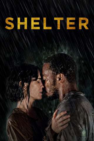 Shelter - senza dimora (2014) streaming