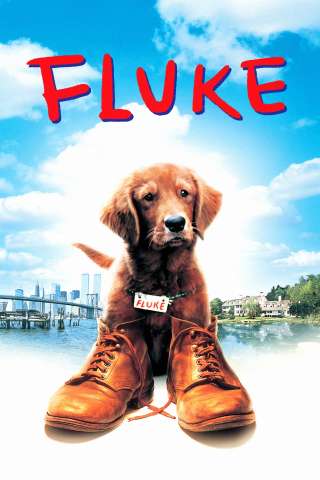 Fluke (1995) streaming