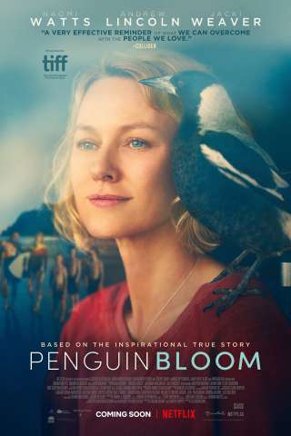 Penguin Bloom (2021) streaming