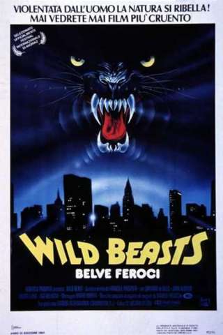 Wild Beasts - Belve feroci (1984) streaming