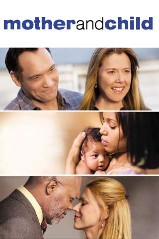 Mother and Child (2009) streaming