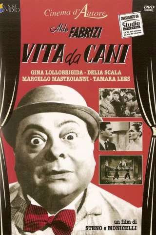 Vita da cani (1950) streaming