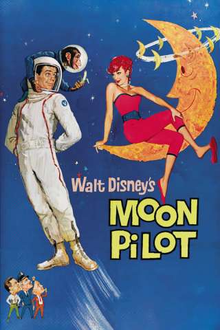 Un tipo lunatico (1962) streaming