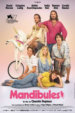 Mandibules - Due uomini e una mosca (2020) streaming