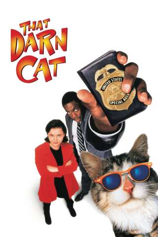 Operazione gatto (1997) streaming