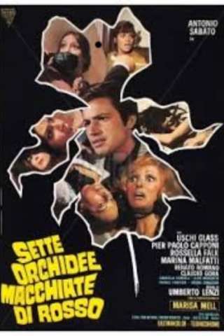Sette orchidee macchiate di rosso (1972) streaming