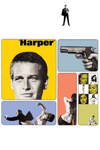 Detective's Story (1966) streaming