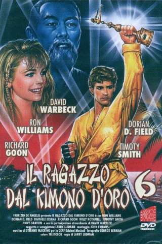 Il ragazzo dal kimono d'oro 6 (1993) streaming