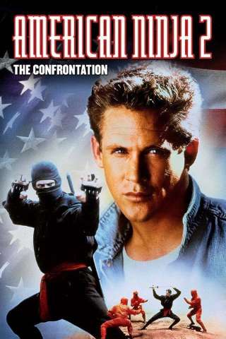 Guerriero Americano 2 - La sfida (1987) streaming