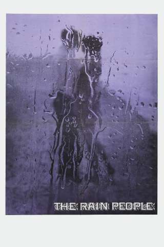 Non torno a casa stasera (1969) streaming