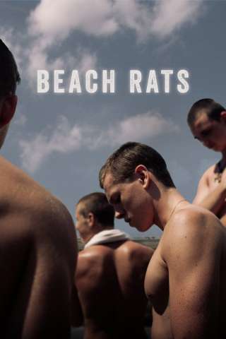 Beach Rats (2017) streaming
