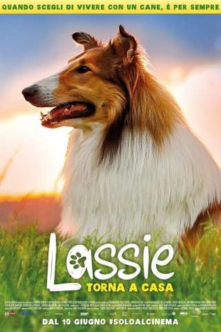 Lassie torna a casa (2020) streaming