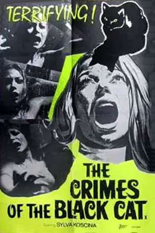 Sette scialli di seta gialla (1972) streaming
