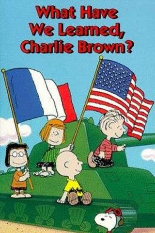 Che cosa abbiamo imparato, Charlie Brown? (1983) streaming