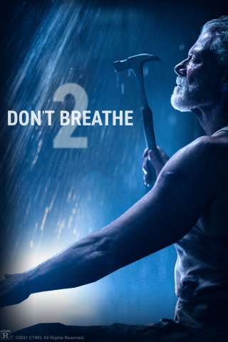 L'uomo nel buio - Man in the Dark (2021) streaming