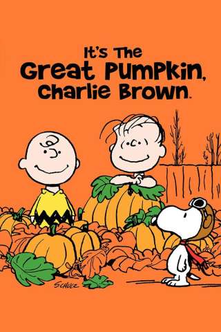 IL GRANDE COCOMERO, CHARLIE BROWN (1966) streaming