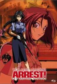 Sei in arresto! - Il film (1999) streaming